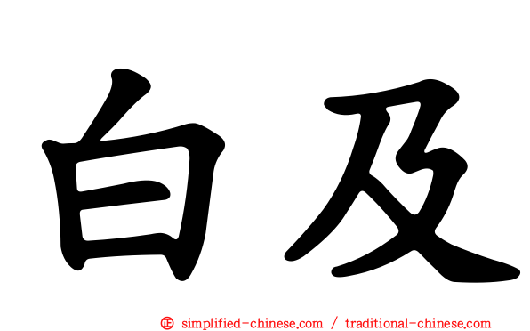 白及