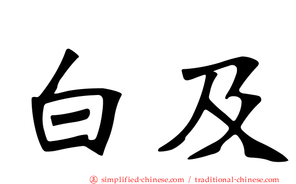 白及