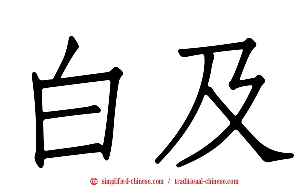 白及