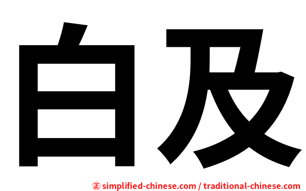 白及