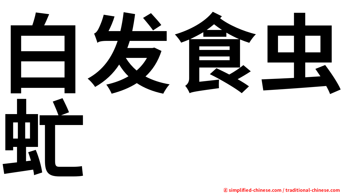 白发食虫虻