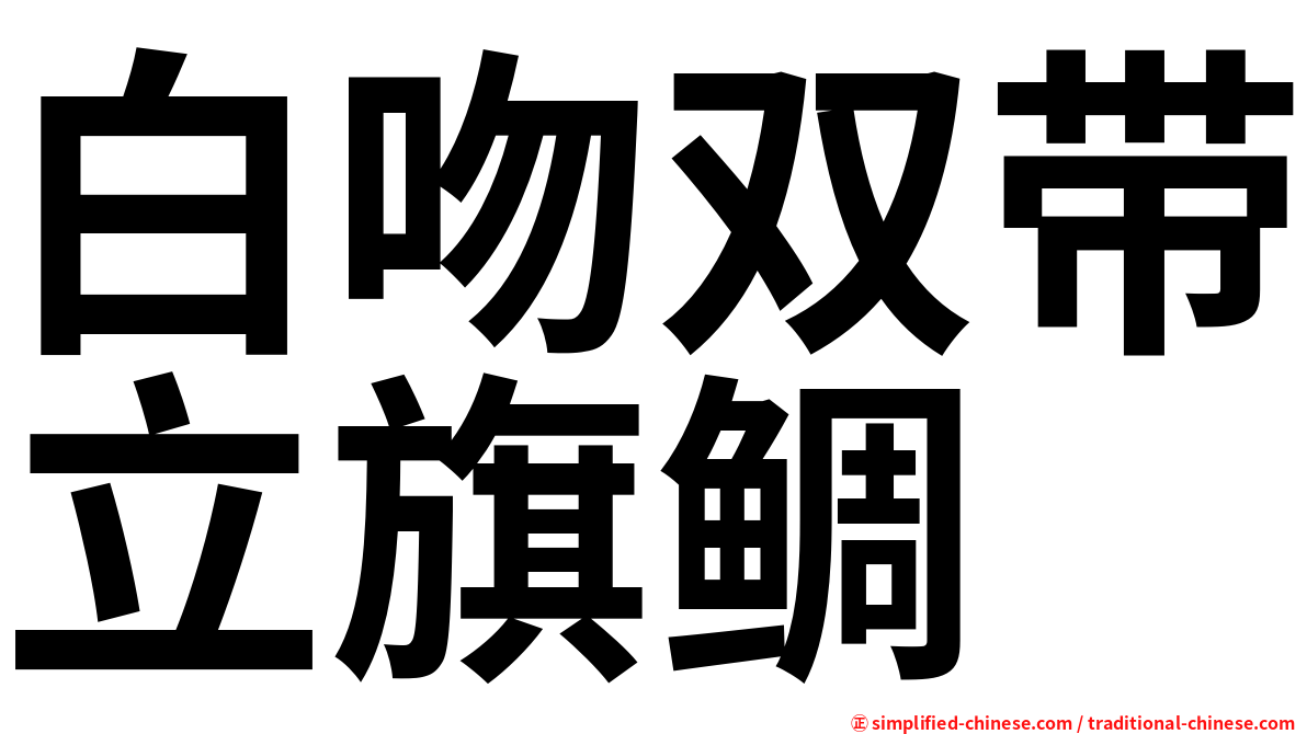 白吻双带立旗鲷