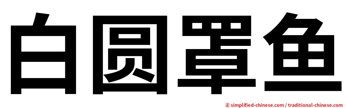 白圆罩鱼