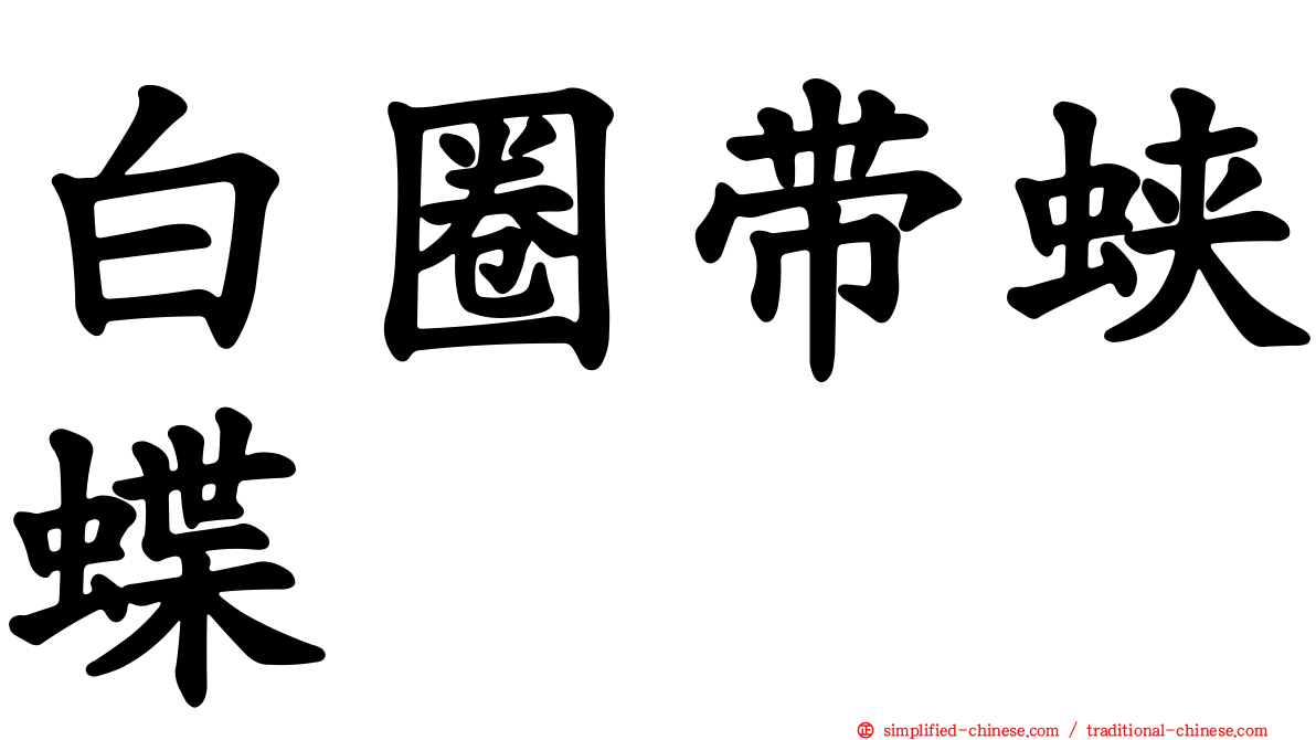 白圈带蛱蝶