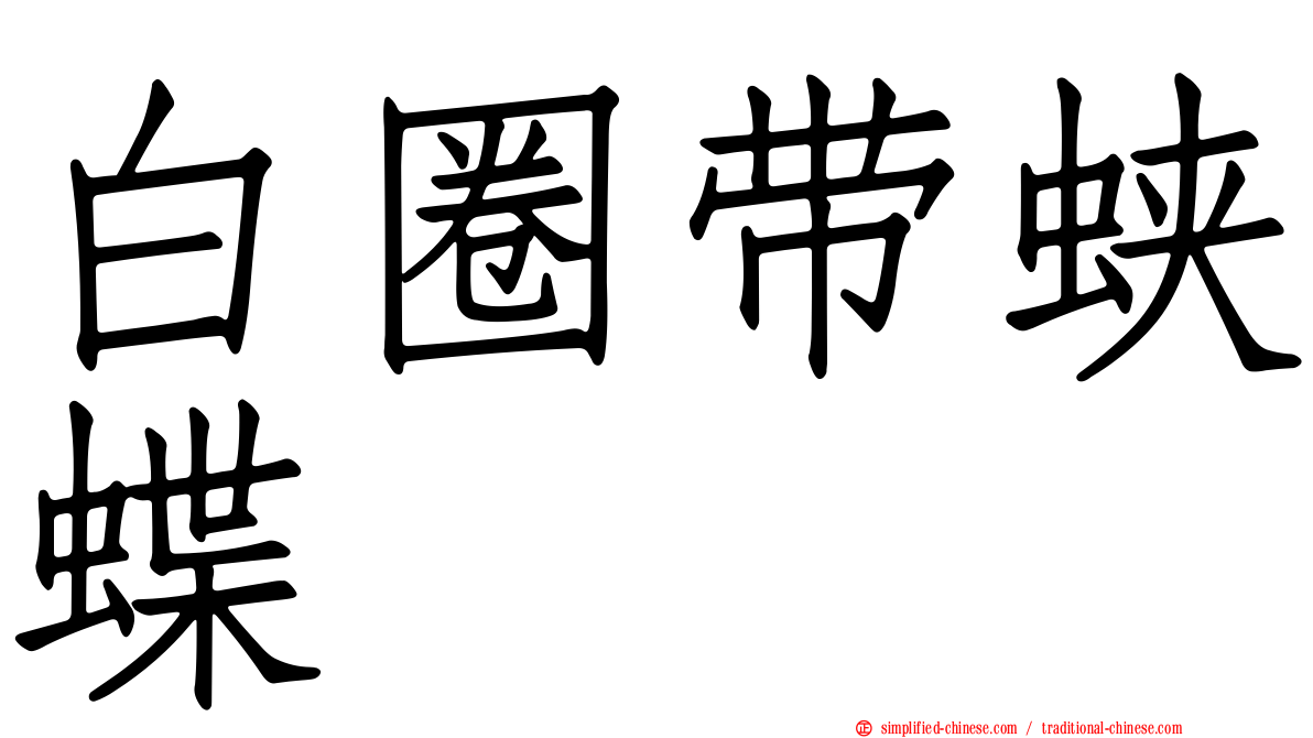 白圈带蛱蝶