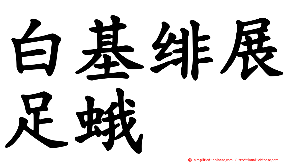 白基绯展足蛾