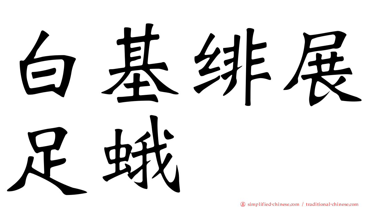 白基绯展足蛾
