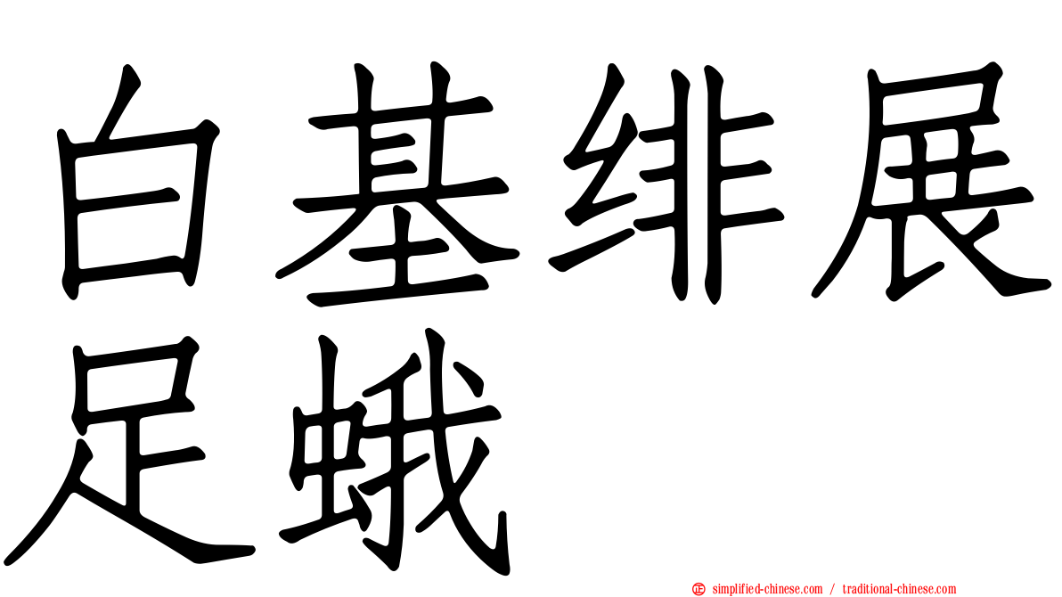 白基绯展足蛾