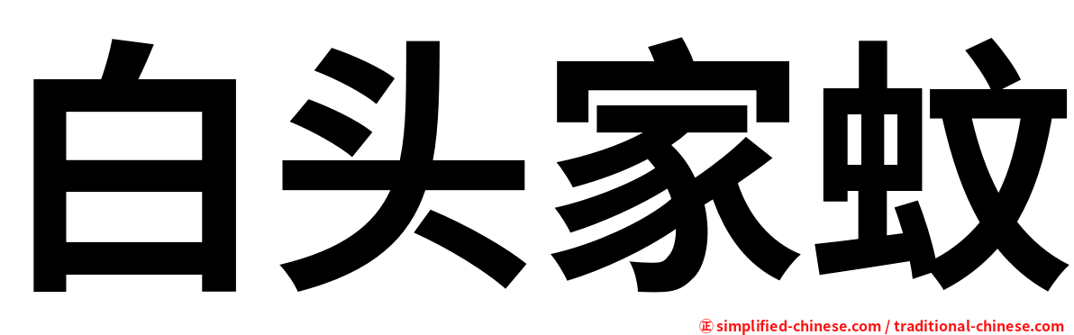白头家蚊
