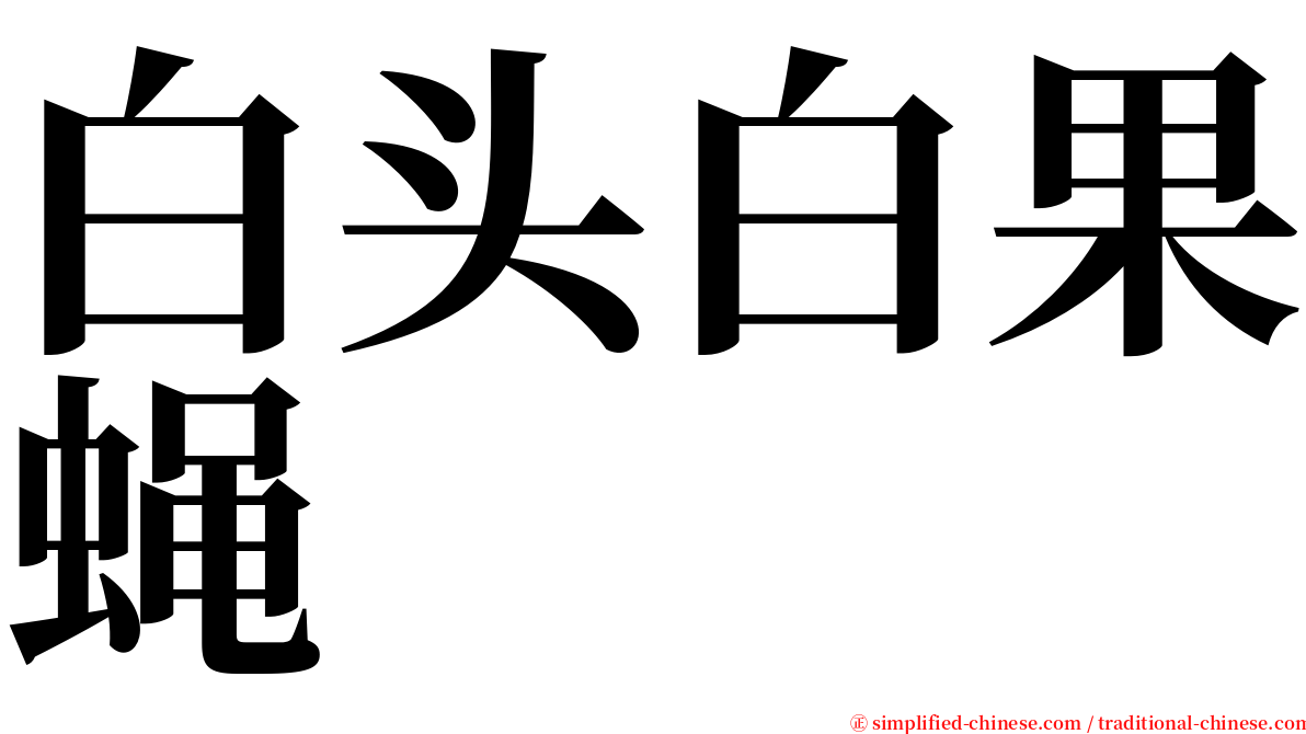 白头白果蝇 serif font