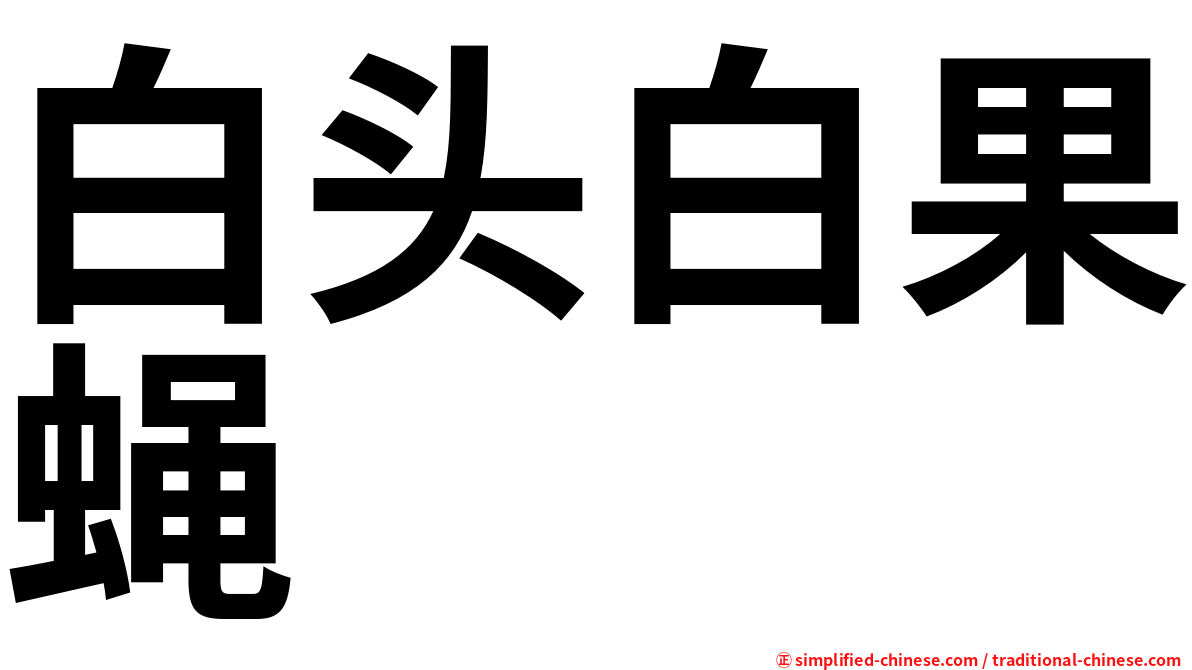 白头白果蝇