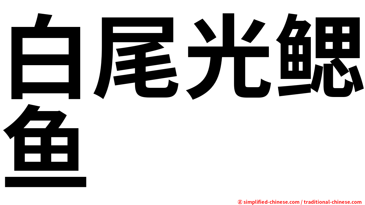 白尾光鳃鱼
