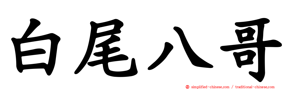 白尾八哥