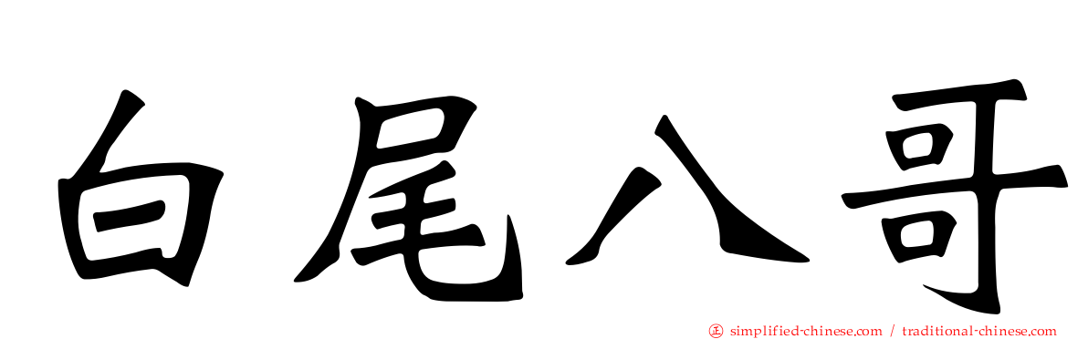 白尾八哥