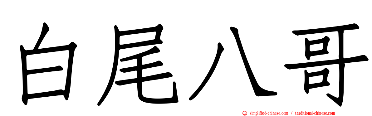 白尾八哥