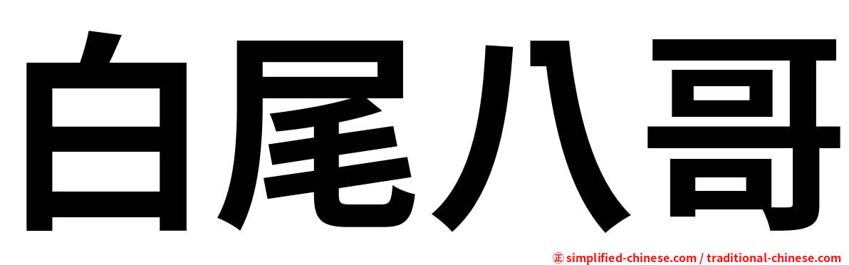 白尾八哥
