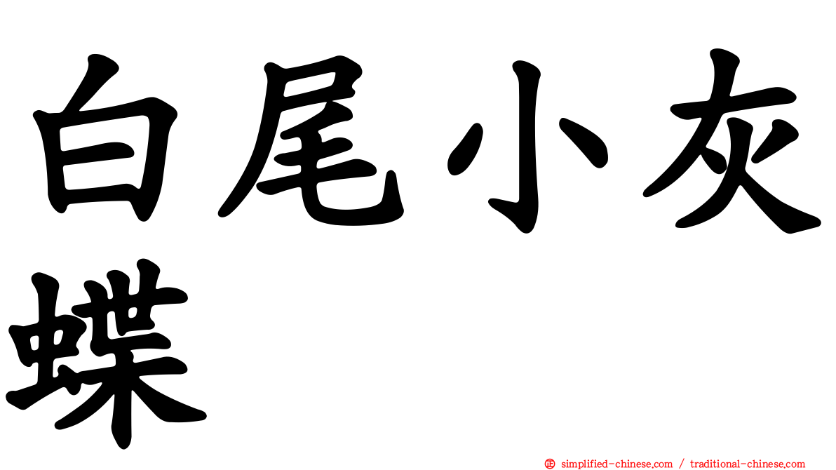 白尾小灰蝶