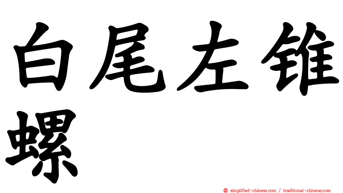 白尾左锥螺