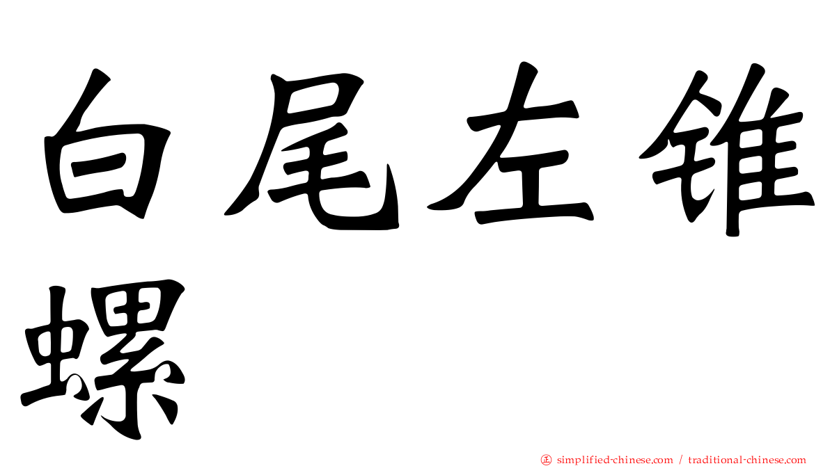 白尾左锥螺