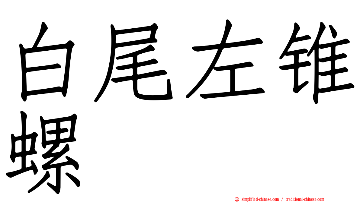 白尾左锥螺