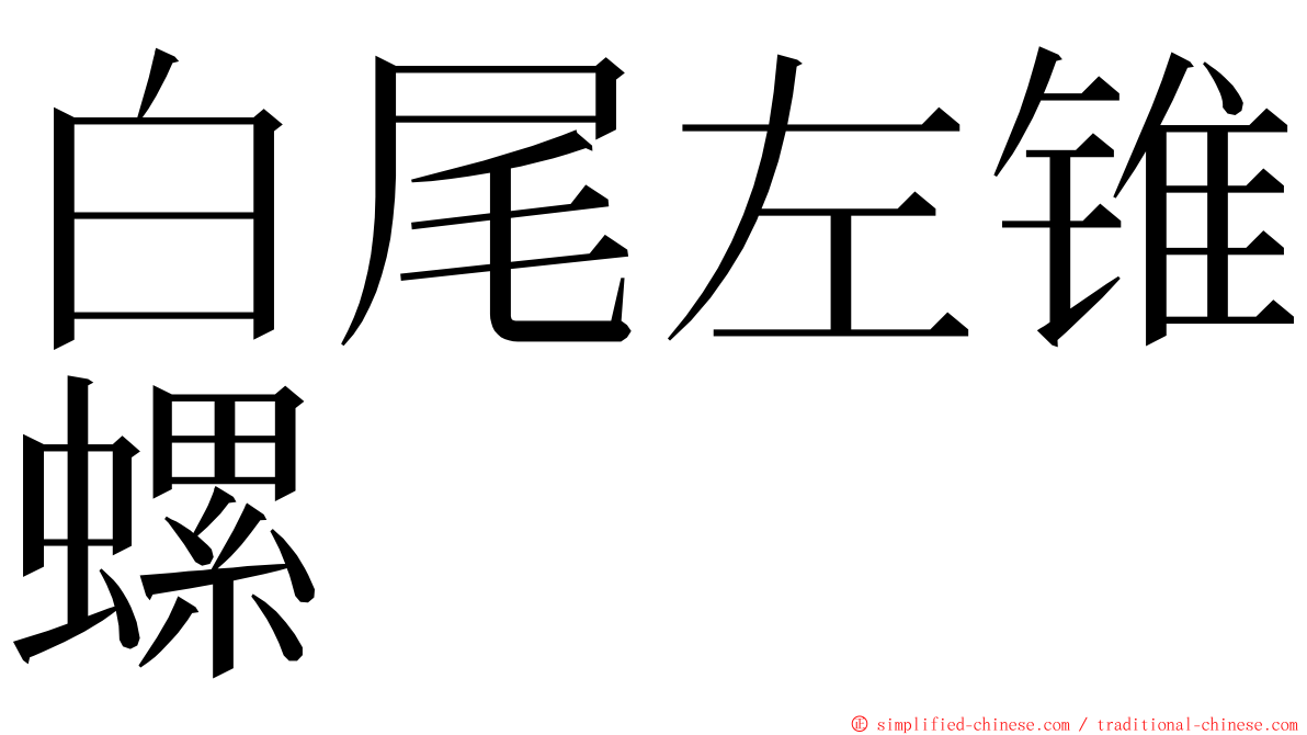 白尾左锥螺 ming font
