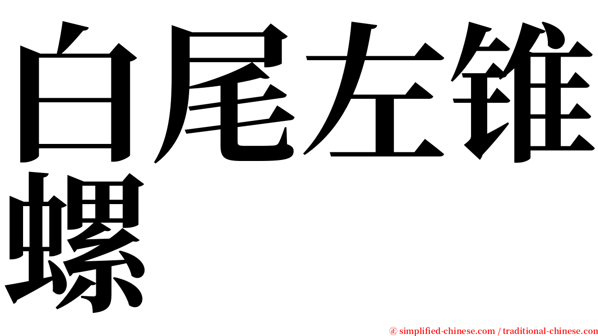 白尾左锥螺 serif font