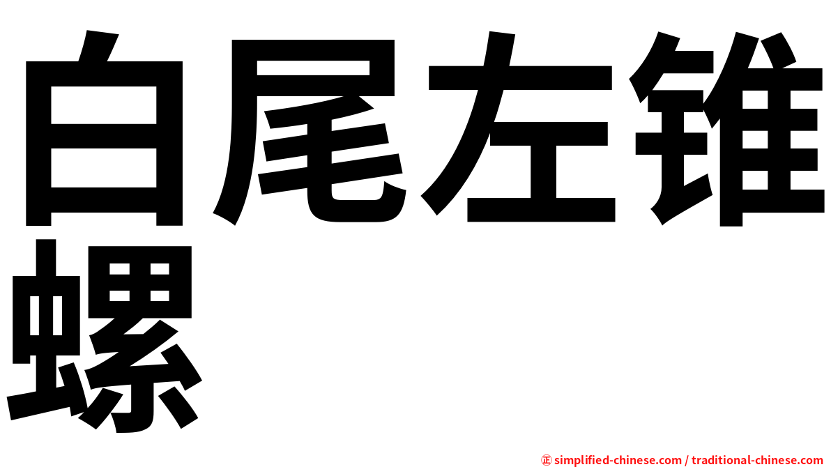 白尾左锥螺