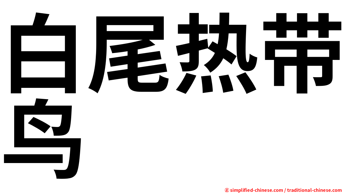 白尾热带鸟