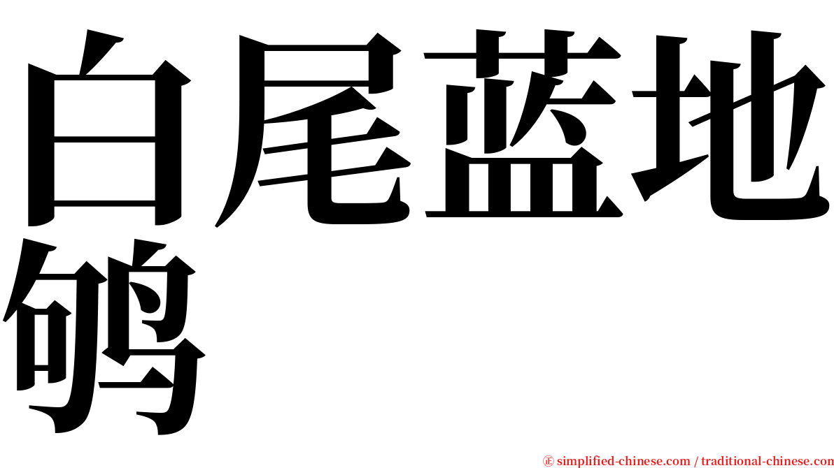 白尾蓝地鸲 serif font