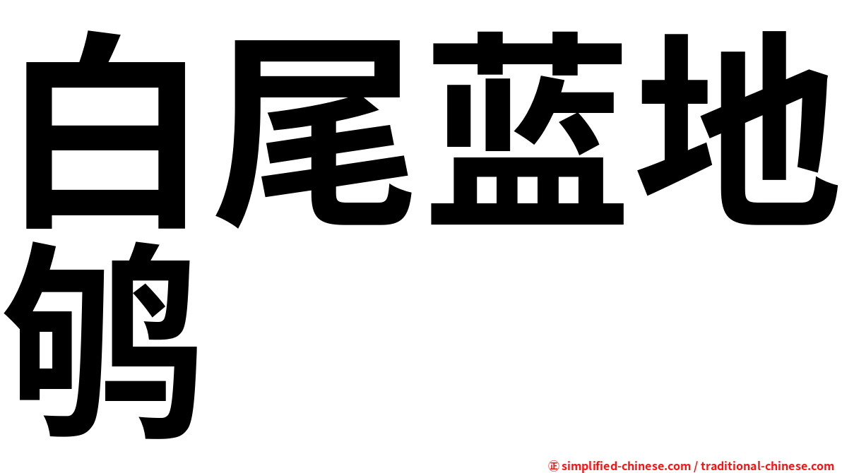 白尾蓝地鸲