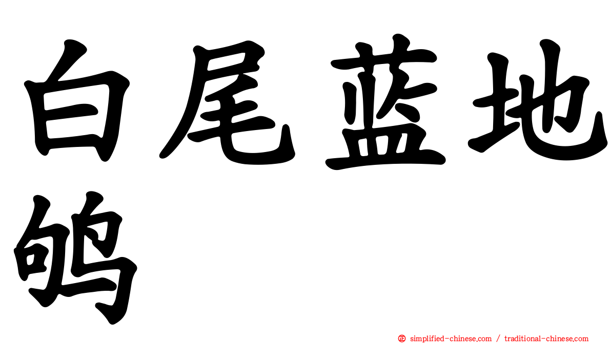 白尾蓝地鸲