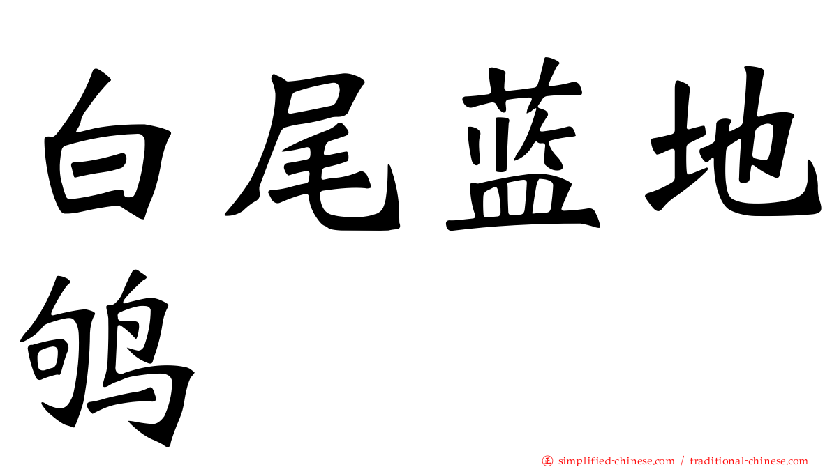 白尾蓝地鸲