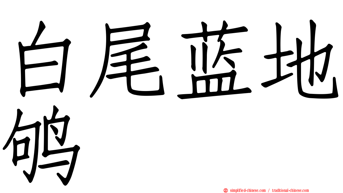 白尾蓝地鸲