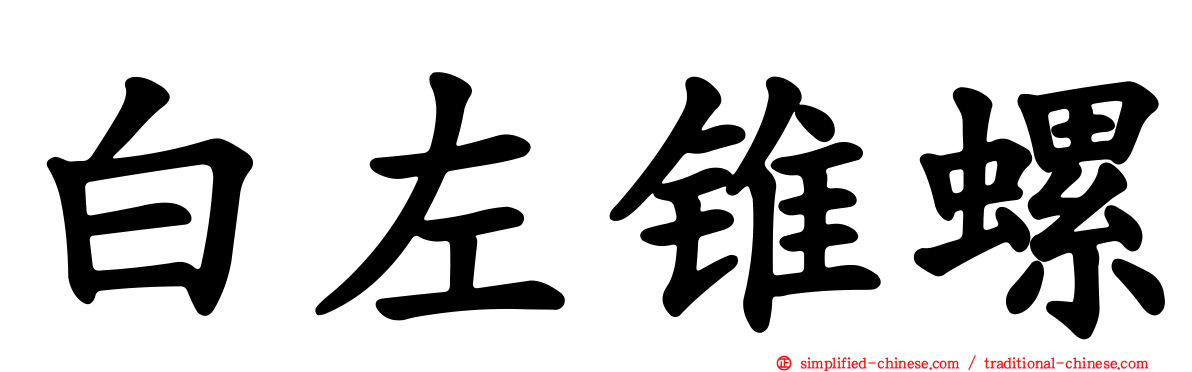 白左锥螺