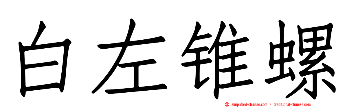 白左锥螺