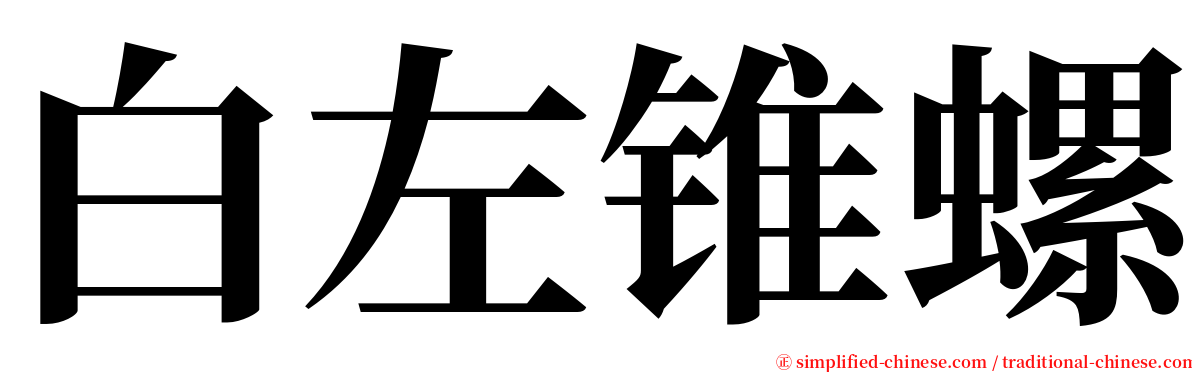 白左锥螺 serif font