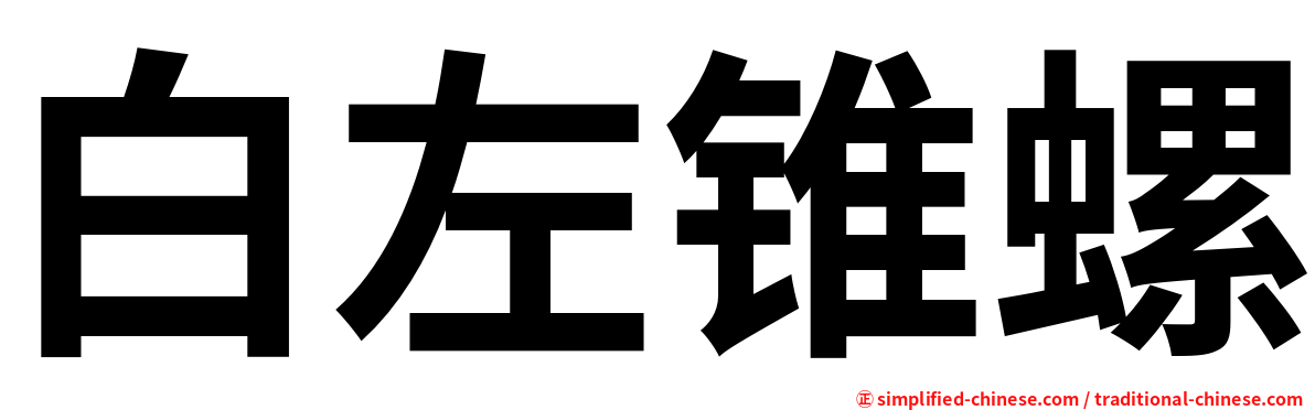 白左锥螺