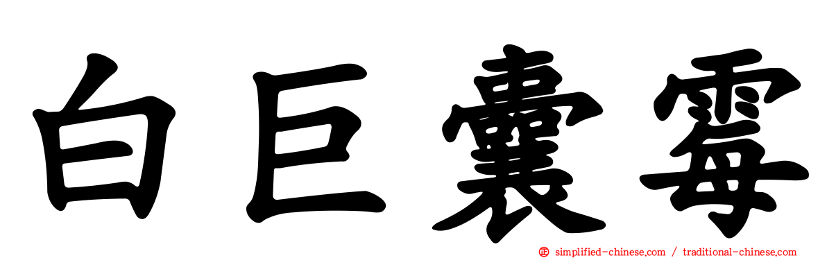 白巨囊霉