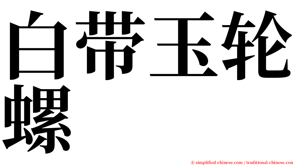 白带玉轮螺 serif font