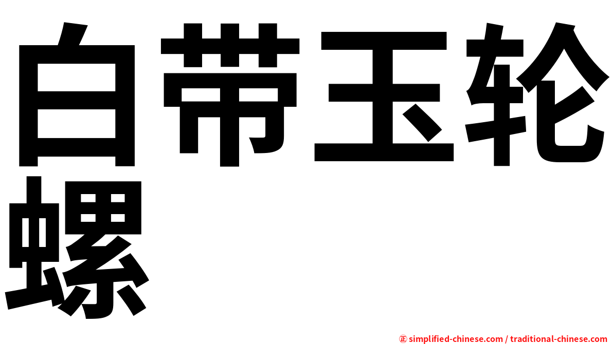 白带玉轮螺