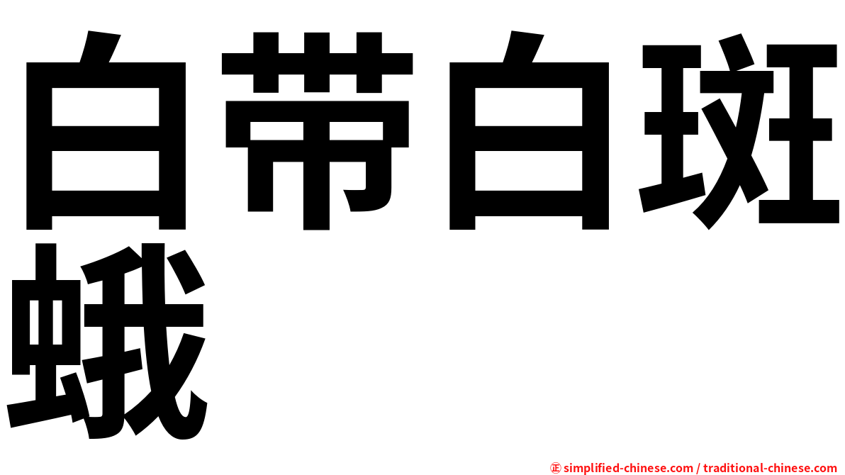 白带白斑蛾