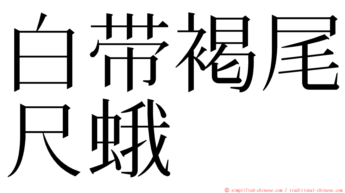 白带褐尾尺蛾 ming font