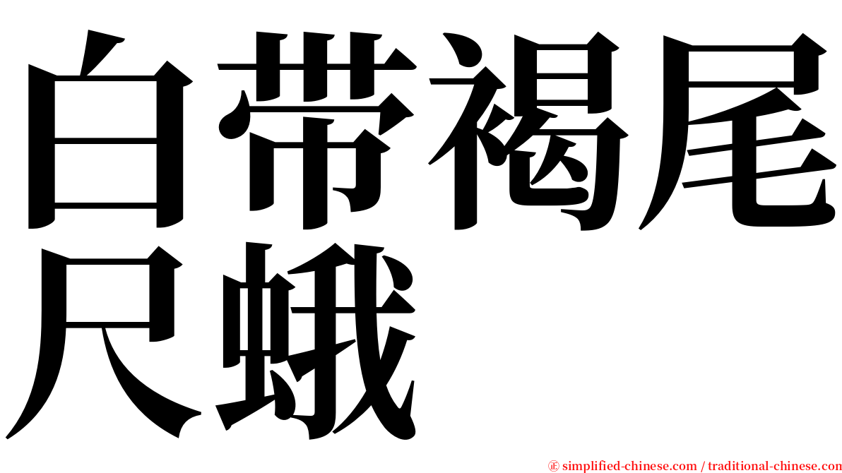 白带褐尾尺蛾 serif font