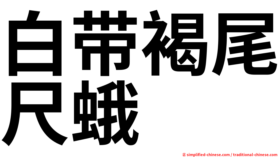 白带褐尾尺蛾