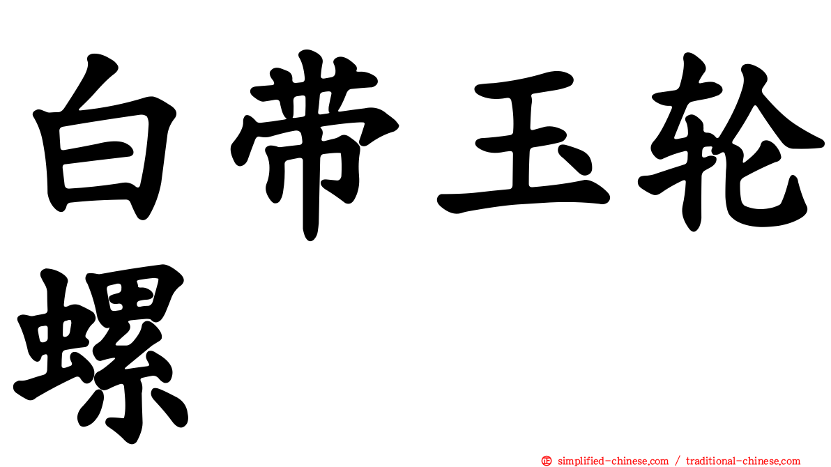 白带玉轮螺