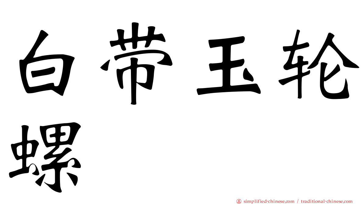 白带玉轮螺