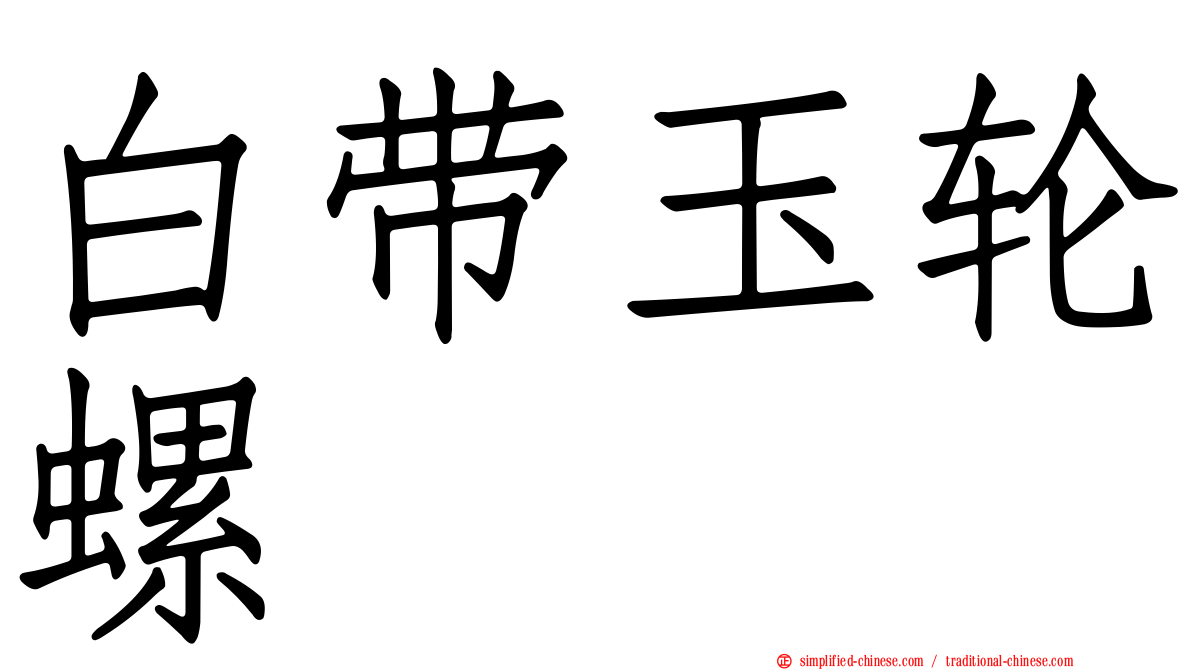 白带玉轮螺