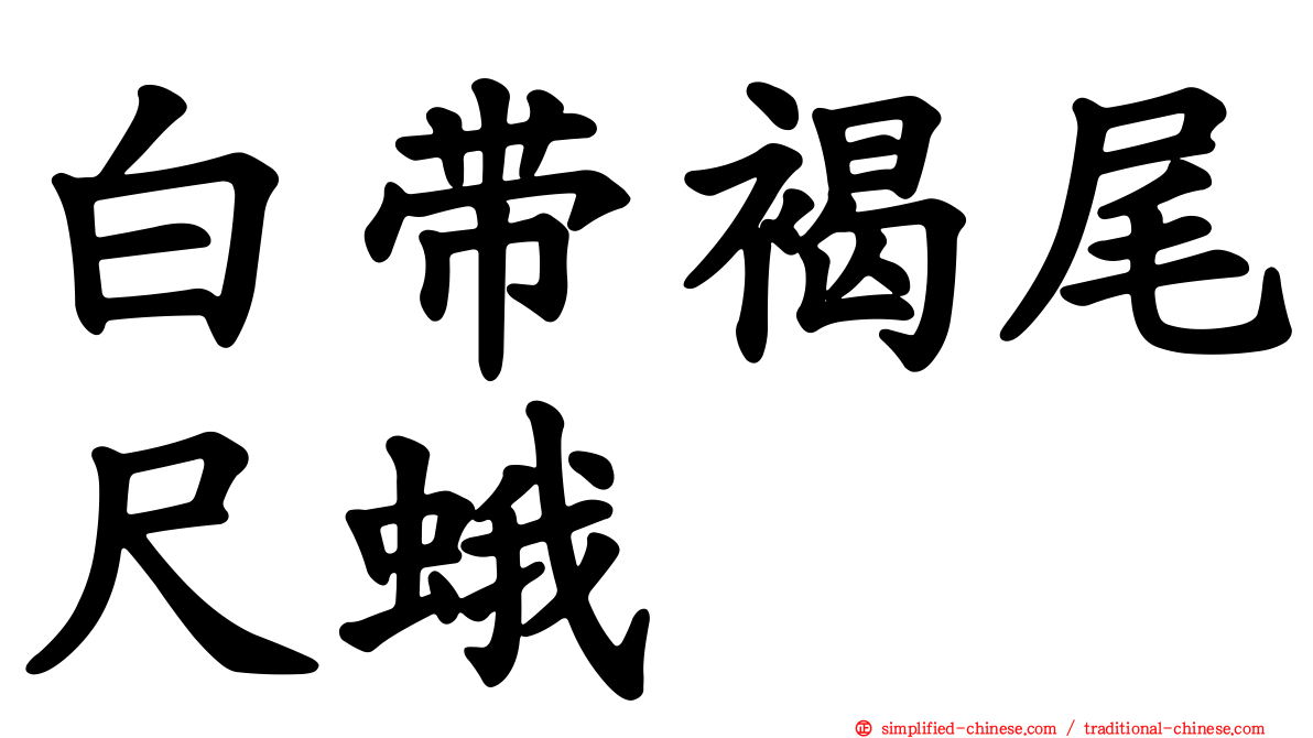 白带褐尾尺蛾