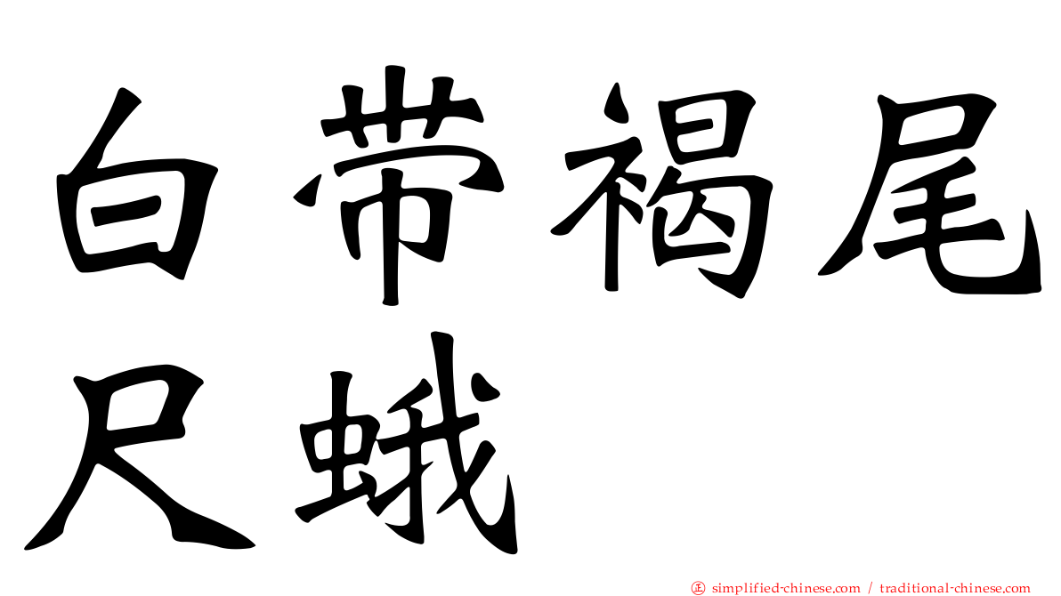 白带褐尾尺蛾