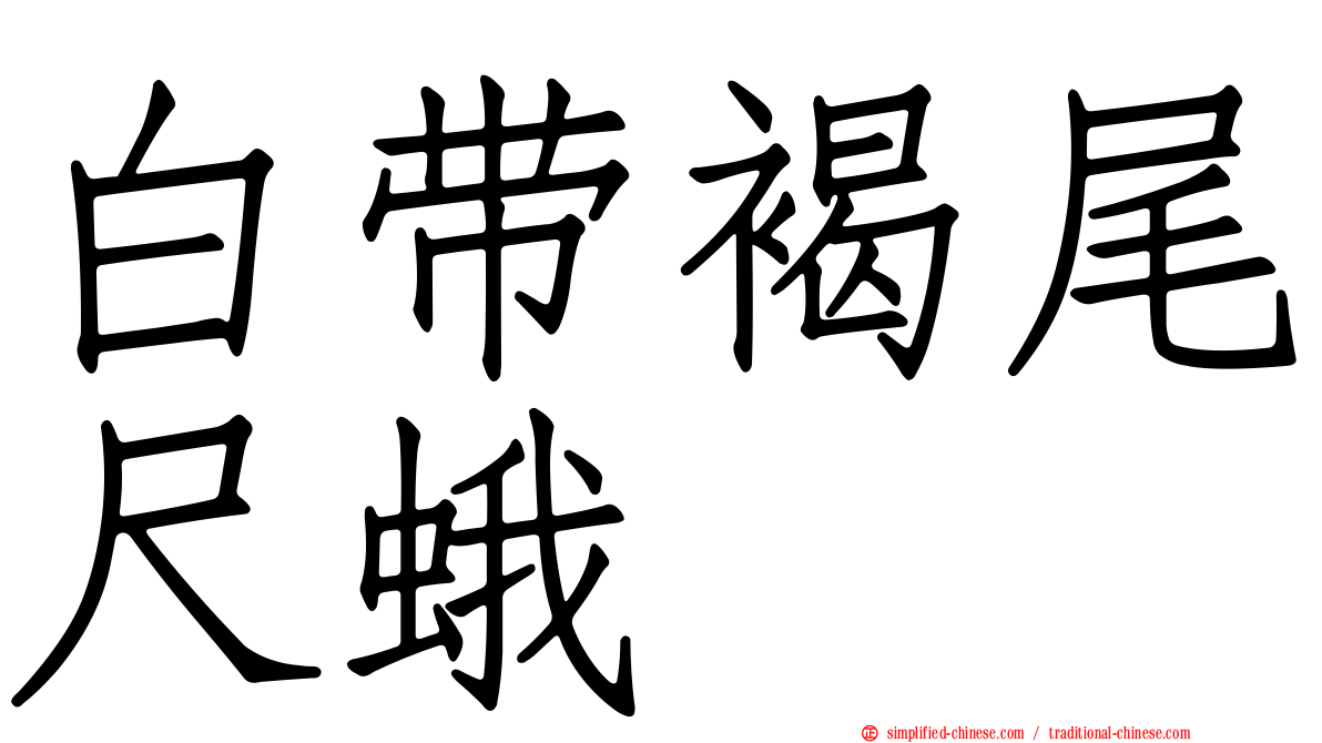 白带褐尾尺蛾